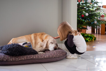 Blonde adorable toddler girl decorates christmas tree with her white big dog labrador. Atmosfere of christmas, new year, cozy home, decoration, love.