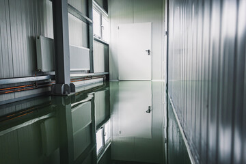 New cold rooms in the butchery industry with green epoxy resin floors - obrazy, fototapety, plakaty