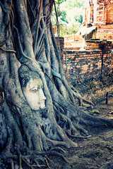 Buddha head in Wat Mahathat temple, Ayutthaya