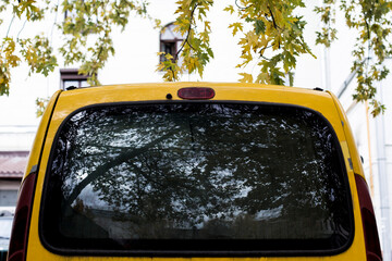 Rear window Car stickers Mock up car vinyl decal outdoors autumn