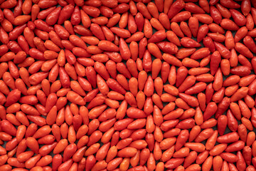 Little chili peppers (Pequin chili) background. Small red ripe hot chili pepper texture.