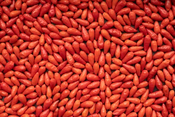 Rolgordijnen Little chili peppers (Pequin chili) background. Small red ripe hot chili pepper texture. © Fotema