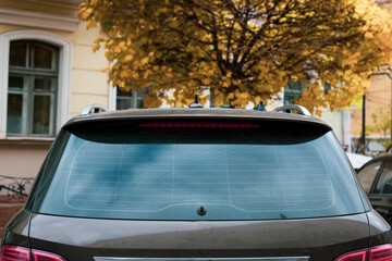 Rear window Car stickers Mock up car vinyl decal outdoors autumn - obrazy, fototapety, plakaty