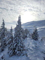 Fototapeta premium Winter landscape on the slope of the mountain of the ski resort. Ukraine Dragobrat.