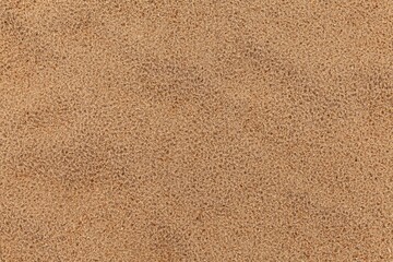 Fototapeta na wymiar Sand texture. Sandy beach for background. Top view. Natural sand stone texture background. sand on the beach as background. Wavy sand background for summer designs