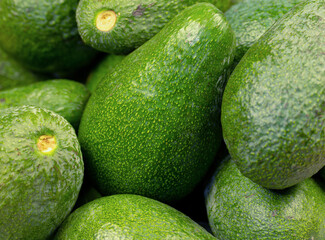 Green avocados