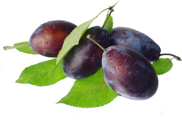 Group of blue plums with green leaves.Isolated on white background.