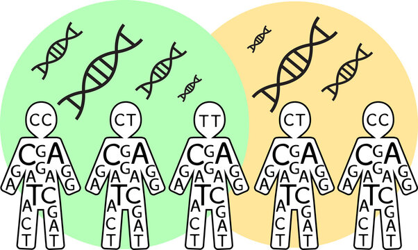 Illustration Of Human Population Carrying DNA - Population Genetics And Genetic Studies