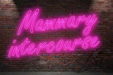 Neon Mammary intercourse (in german Mammalverkehr) lettering on Brick Wall at night