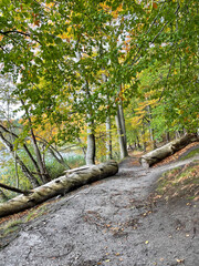 Hellsee, Barnim, Brandenburg, Herbst