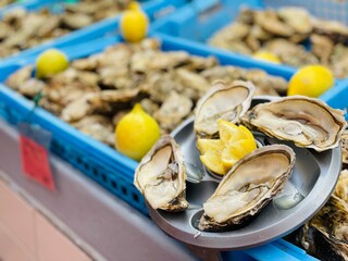 oysters on the beach