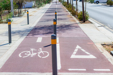 bike lane with direction arrow and white icon, divided for walking and cycling in a public park, in...