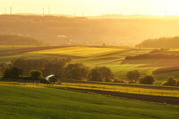 Fototapeta na wymiar Beautiful rural landscape with trees and fields in golden sunlight at sunset, Eifel, Germany