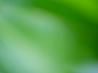 Green yellow white soft abstract background for technology, digital, fashion, health concept.