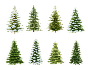 Watercolor christmas tree, Decorative Christmas ornament, art illustration painted with watercolors isolated on white background