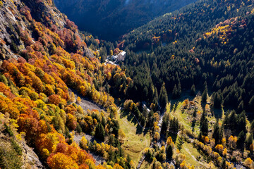 Bagni di Masino in Val Masino, Italy, autumn aerial view - 465585387