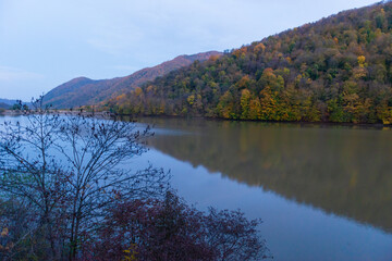 Beautiful landscape with reservoir and forest under the moonlight, Armenia