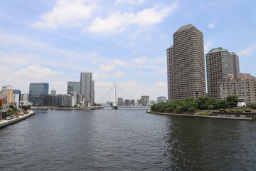 Fototapeta premium 佃大橋から見る中央大橋と隅田川（東京都中央区）