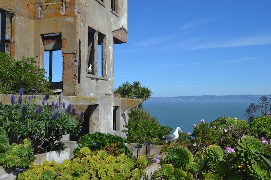 Ruins and gardens at Alcatraz San Francisco California