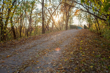 Beauty in nature, sunny fall day. A country road covered with golden leaves leads to an old bridge in the autumn forest, golden fairytale, outdoor beautiful landscape, selective focus