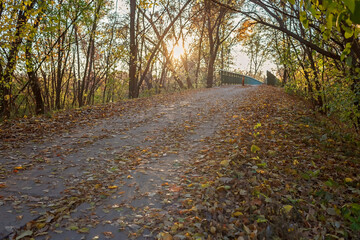 A country road covered with golden leaves leads to an old bridge in the autumn forest, golden fairytale, beauty in nature, sunny fall day, outdoor beautiful landscape, selective focus