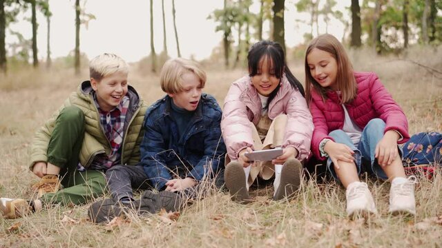 Happy multinational group of children showing something at the phone at picnic time