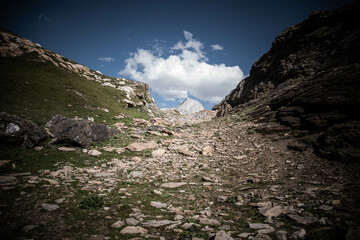 Chemin de montagne