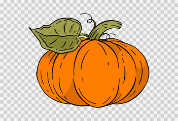Pumpkin hand draw brush paint style isolated on png or transparent texture,Halloween party background ,element template for poster,online,vector illustration