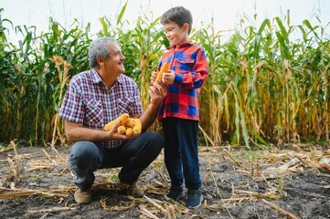 Family farming. Farmers grandfather with little grandson in a corn field. experienced grandfather explains grandson the nature of plant growth.