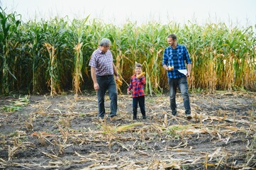 Family farming. Farmers grandfather with son and young grandson in a corn field. Agriculture concept.