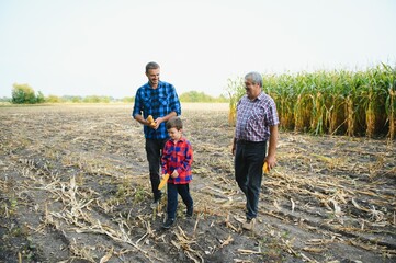 Family farming. Farmers grandfather with little grandson in a corn field. experienced grandfather...
