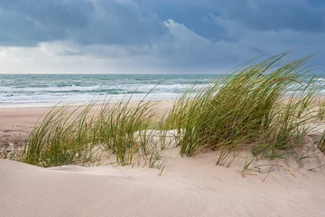 Foto op Canvas Düne und Strand bei Hirtshals in Dänemark © Rico Ködder