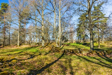 Spring feeling in a pasture landscape