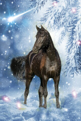 Weihnachten - Braunes Pferd in märchenhafter Landschaft