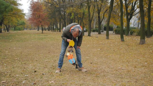 Handsome Man Plays Catch Flying Disc with Happy Yorkshire Terrier Dog on the autumn park among yellow fallen leaves.