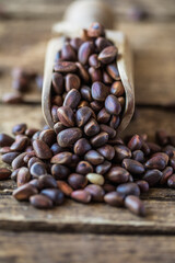 cedar nuts in shell. Organic food. Seeds of Siberian pine