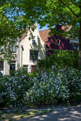 Walking on old streets of Harlingen fisherman town on Wadden sea, Friesland, Netherlands