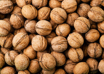 Walnuts in shell background. The view from top