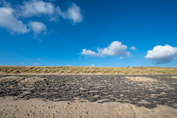 Fototapeta na wymiar View on white sandy beach, dunes and water of North sea between Vlissingen en Domburg, Zeeland, Netherlands