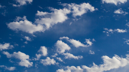 Fototapeta premium Altocumulus castellanus, nuages précurseurs d'un temps orageux imminent