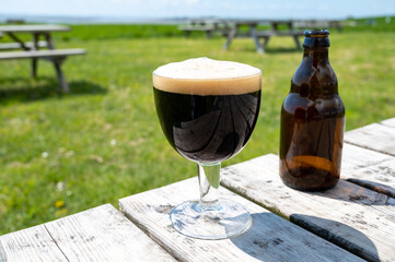 Glass of dark strong belgian beer served on outdoor terrace with green grass meadow on background
