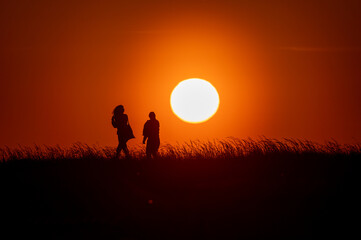 Silhouettes of people walking on grass on sunset with back lite and sun on backgound