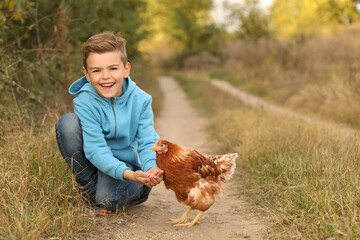 Farm animal. Cute little boy feeding chicken in countryside, space for text