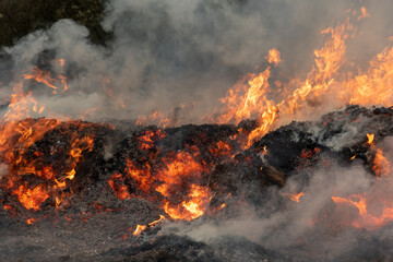 fuoco in campagna