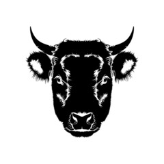 angus buffalo cow head vector, cow head logo design inspiration