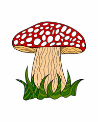 Hand sketches of doodles of mushrooms. Vector sketches of autumn forest plants. Design element for print, label, logo, packaging, template, badge, book, coloring book.