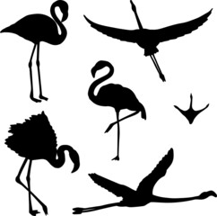 Set of hand drawn black flamingo silhouette birds, vector file - obrazy, fototapety, plakaty