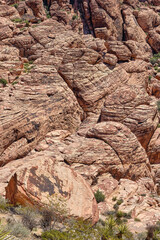 Obraz premium Nevada Desert Red Rocks in the desert