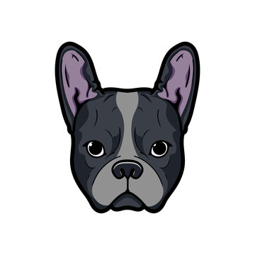 Boston terrier dog head mascot logo