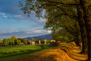 Travelling in Tuscany. The Walls of Lucca public park with the eastern district of Arancio